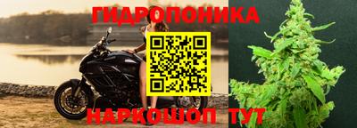 скорость Аргун